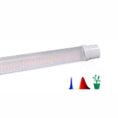 Светильники ФИТО (для растений) от компании Светсервис