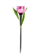 Садовый светильник Tulip Pink (USL-C-451) "Розовый тюльпан", пластик, 30,5см Uniel